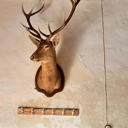 Tatil Evi Casa De Piedra Y Lombera *